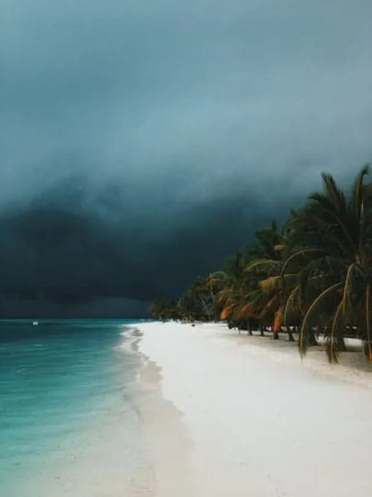 4 Critical Steps to Surviving a Tropical Storm